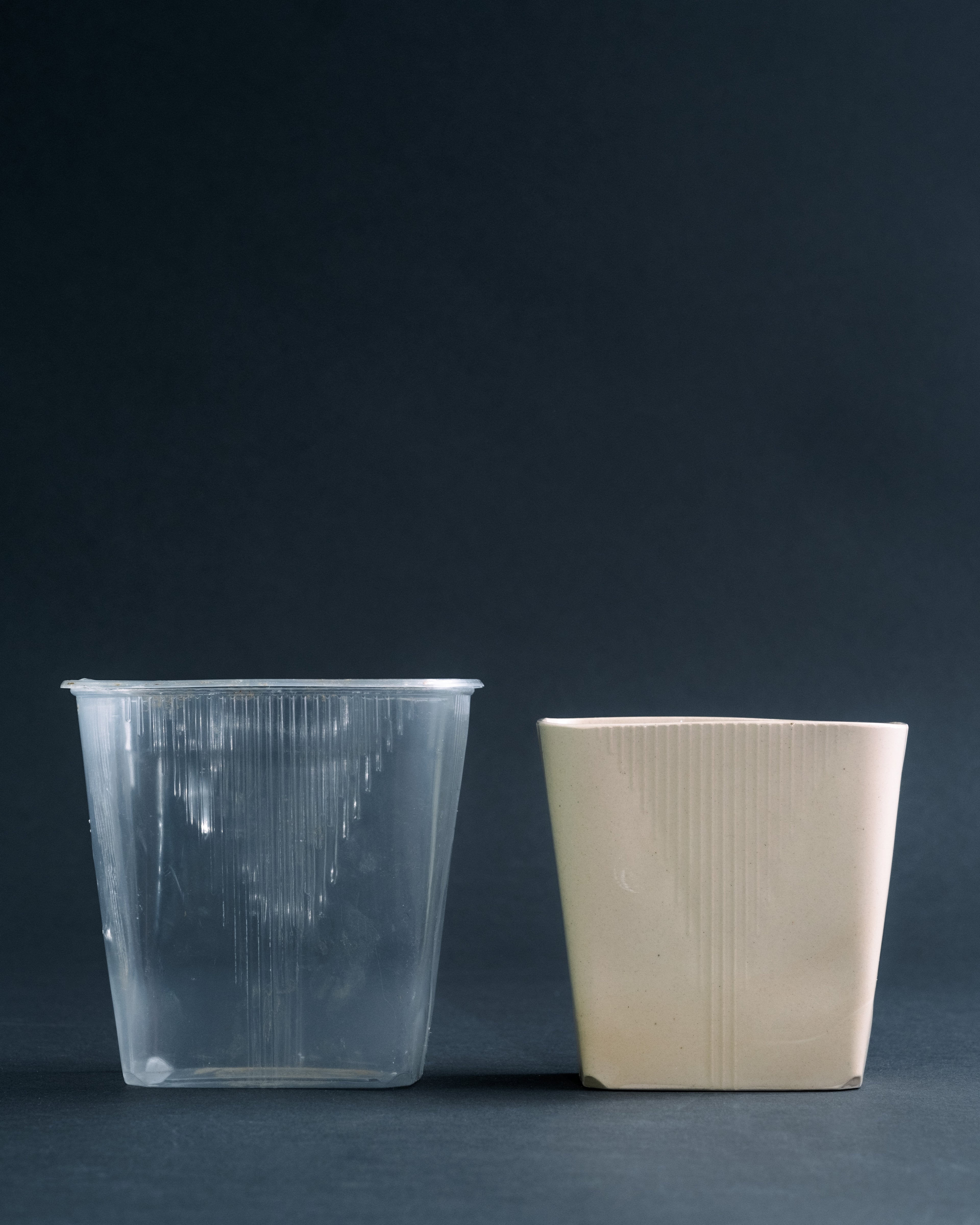 PET-25 Einwegschale Klein